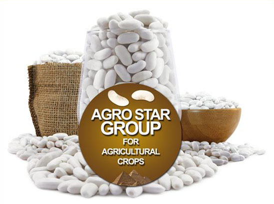 About Agro Star Group